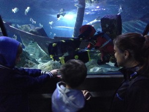 Familjen på plats på Atlantis och Legoland