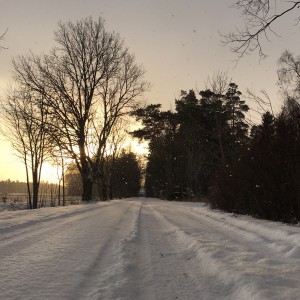 Att se tillbaka och följa de egna spåren kan vara både uppfriskande och lite läskigt.