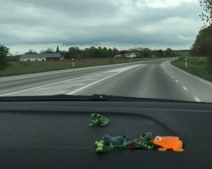 På väg för att föra en tradition vidare. Mitt på Gotland. 