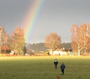 Vattnet är en bristvara på Gotland just nu. Kommer slutet på regnbågen bokstavligen förvandlas till guld i framtiden?