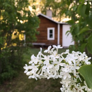 Paradiset på jorden. Ett av flera...