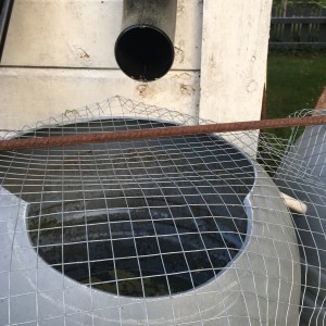 Samlar du på regnvatten under öns vattenkris? Tag dig en minut eller två och läs igenom detta.