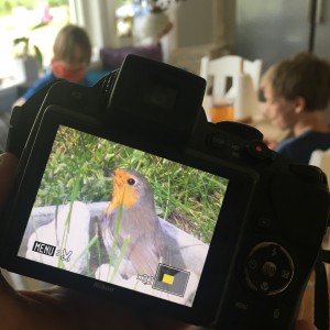Det här är, vad jag förstår, en rödhake. Den fotograferade jag här om dagen mitt i trädgården. Och givetvis var jag tvungen att skämta på bekostnad av mina små sorkar...