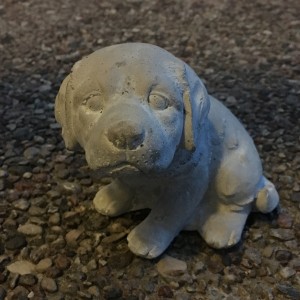 Det gäller att omgivningen tror sig veta ens ståndpunkt, för att du ska kunna genomföra förändringarna de inte ens trodde var möjliga. 