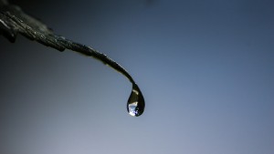 Vissa saker får ta sin tid. Ibland... gäller det att låta saker och ting ha sin gång. Tids nog så kanske du når ditt mål utan att du måste gå över lik för att komma dit. Bild av Susanne Nilsson från Flickr.com under licens CC BY-SA 2.0