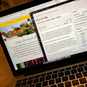 Lite av det bästa av två världar? Kan du balansera jobbet med din fritid, och kunna jobba med dina hjärtefrågor, har du tur i yrkeslivet. Tycker jag...