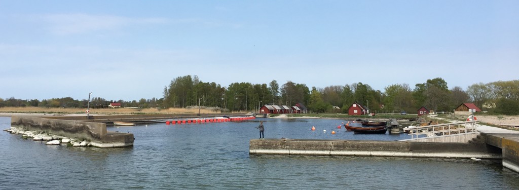 Ett barn och hans metspö