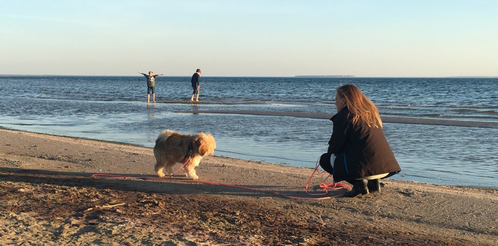 Strandbild från Västergarn