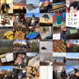 Bildmosaik